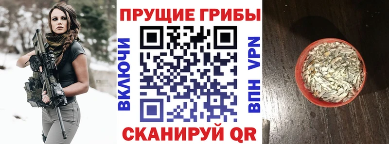 Псилоцибиновые грибы мицелий  Новый Оскол 
